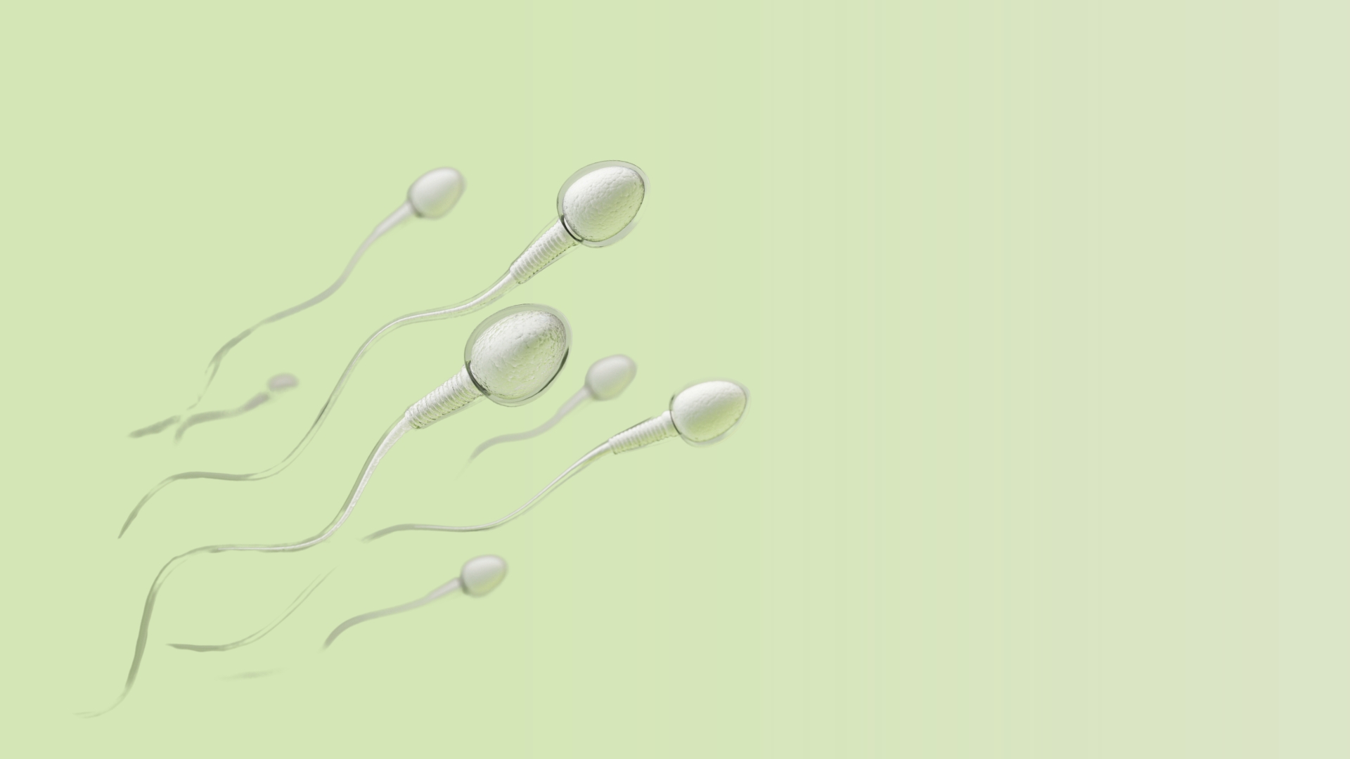 Epidídimo Inflamado