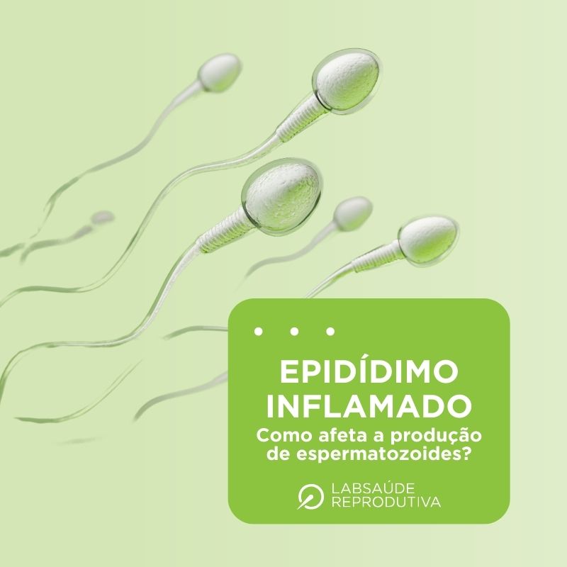 Epidídimo Inflamado